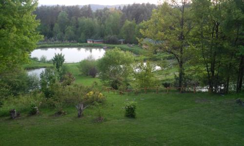 gmina Krzywcza House | Dolina 4 Stawów