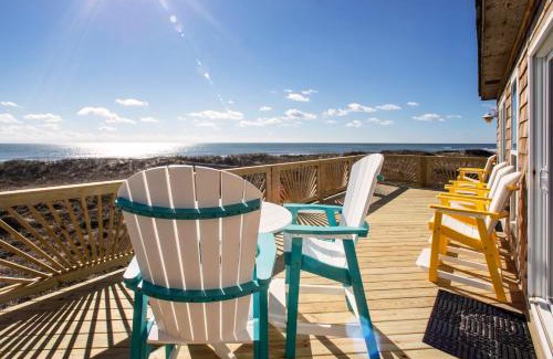 Frisco House | Dolphin Watch 224