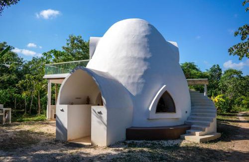 Chiquila Other | Dome @Jackfruit Jungle Paradise