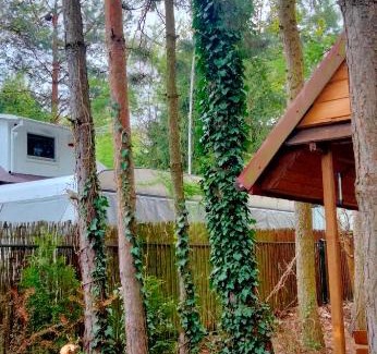 Rakow House | Domek Dzięciołek