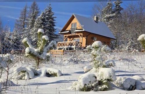 Uscie Gorlickie House | Domek na Czerwonej Górce