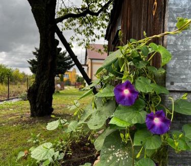Solec-Zdroj House | Domek na wsi kieleckiej