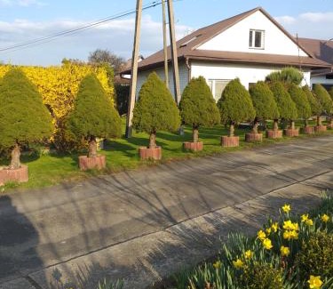 Stary Sacz House | Domek pod Przehybą, Noclegi w okolicy Stary Sącz, Łącko, Szczawnica
