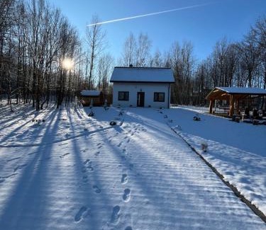 Grybow Ski Chalet | Domek w lesie Sauna i Gorąca balia Wellness&Spa