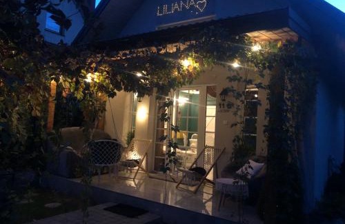 Kroscienko nad Dunajcem Ski Chalet | Domek w Pieninach Apartament Pałacowy Liliana