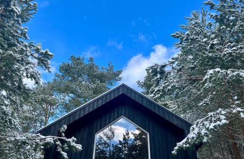 gmina Ozarow House | Domki Wśród Boru Sosnowego, Śródborze