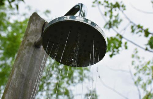 Partido de Tigre House | Domo de la Selva Tigre