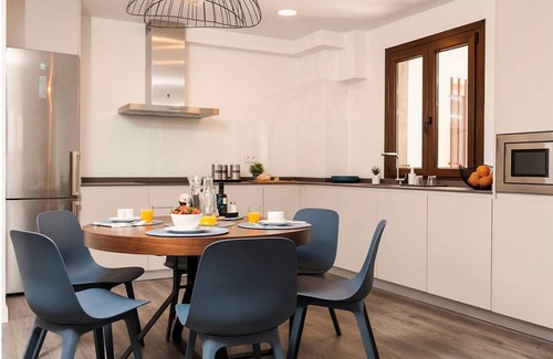 Toledo City Center Apartment | Domus Toledo wholly renewed 1250 sq ft Apartment