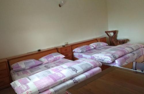 Ruisui House | Dong Li Tea Homestay