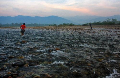 Kumai Resort | Dooars view resort