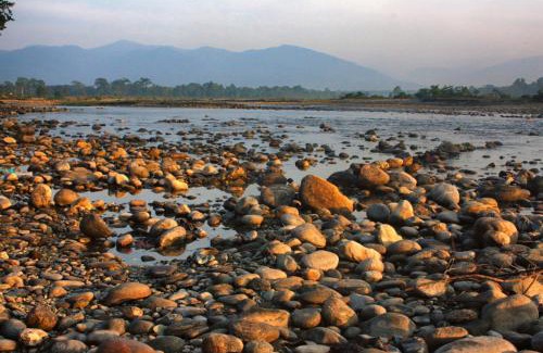 Kumai Resort | Dooars view resort