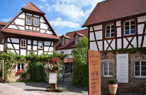 Pleisweiler-Oberhofen House | Doppelzimmer Dusche/wc Kat.1 - Landhotel Hauer