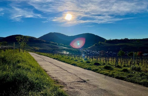 Birkweiler House | Doppelzimmer Komfort - St. Laurentiushof