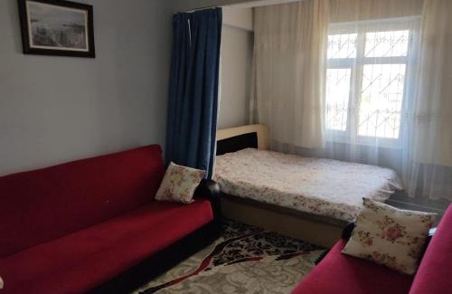 Kepez House | Dormitory Pension Sofas Bunk Bed Rooms in Homestay Apartment