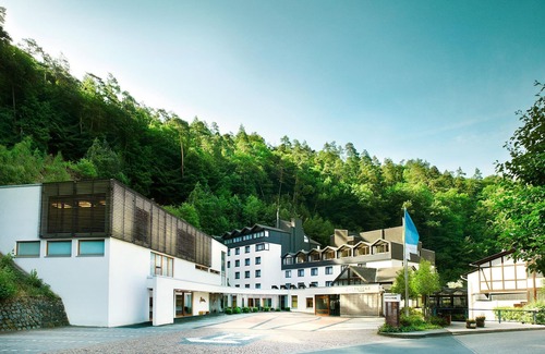 Hoehr-Grenzhausen Apartment | Double room Balance - Hotel ZUGBRÜCKE Grenzau