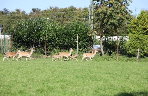 Dormagen Apartment | Double room for 2 guests with 20m² in Dormagen (264394)