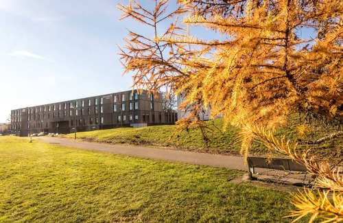 Kriegshaber House | Double room More & Special, barrier-free - Hotel einsmehr