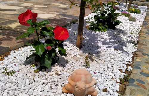 Villaggio delle Mimose House | DOXINA - BeLocations House surrounded by nature