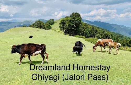 Banjar Apartment | DreamLand Home stay (JALORI PASS)