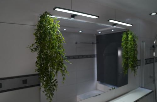 Koetz Apartment | Dreams im Erdgeschoss