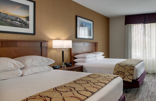 Paw Creek Hotel | Drury Inn & Suites Charlotte Northlake