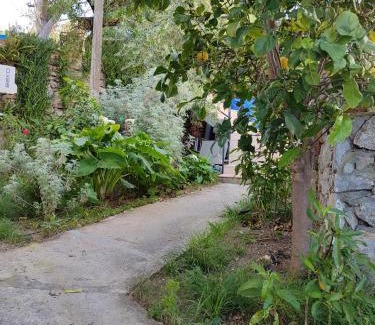 Selimiye House | DURU selimiye konukevi