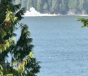 Port Renfrew House | Eagle Way