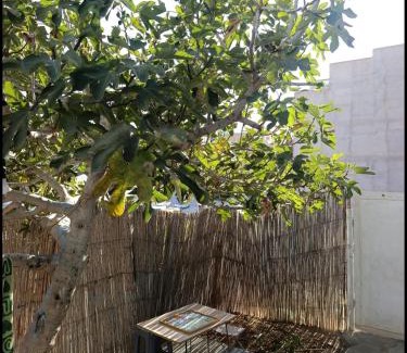 Imzouren Apartment | earth home