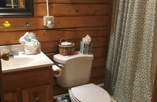 Healy Cabin | Earthsong Lodge