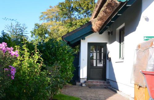 Gross Zicker House | Eck-Reethaus-Sturmhaube