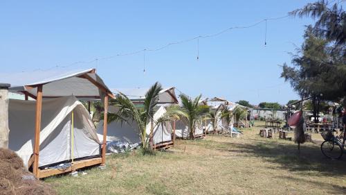 Can Gio Other | Eco Beach Cần Giờ