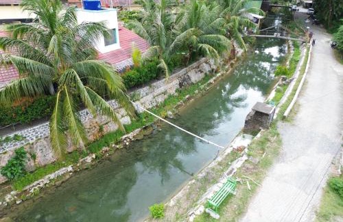 Bukit Lawang Bed & Breakfast | eco trekking lodge, Bar & jungle tour's