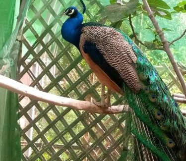 El Bour Bed & Breakfast | Ecogite La Tourterelle - Guesthouse