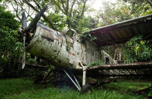 Pillcopata Cabin | Ecotone Manu Bio Lodge All-Inclusive