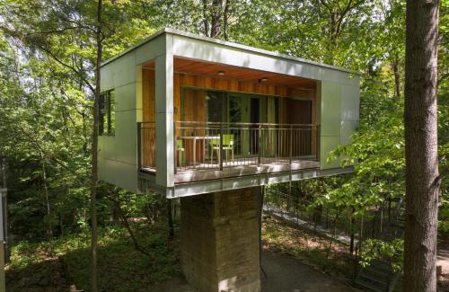 Schrems Cabin | edelførst Baumhäuser