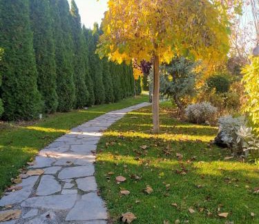 Edessa Apartment | Eden Stay