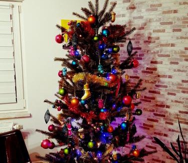 Bollendorf House | Ein Trip in die Natur