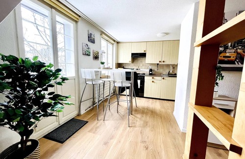 St. Gallen Apartment | Einzigartige Schöne Altbau- Wohnung Im Zentrum