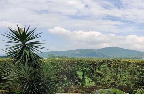 Dhela Apartment | Eiyuu Hotels - Wildlife & Nature Vista