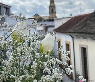 La Trinidad-San Juan y Todos los Santos Apartment | El Balcón de la Torre
