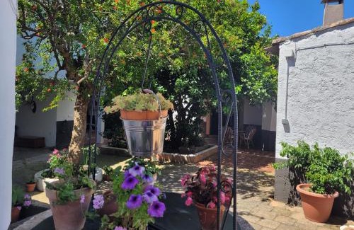 Mohedas de la Jara House | El Escudo de Calatrava