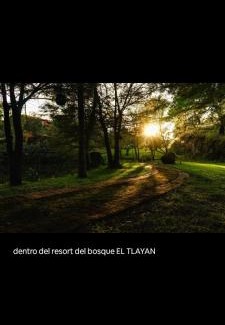 Tala Cabin | El Manik cabañas El Tlayan