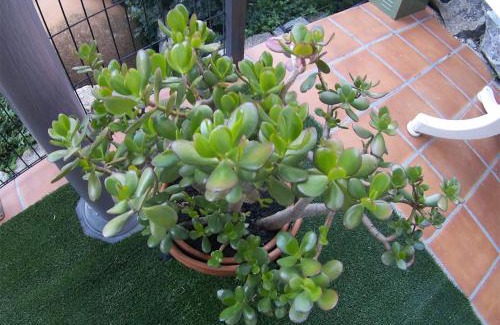 Villarejo del Valle Apartment | El Rencuentro