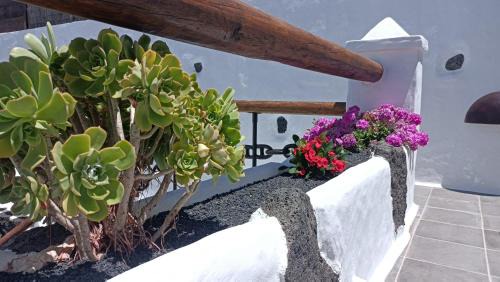 Tahiche House | El rincón de los Aljibes