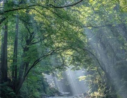Ponferrada Apartment | El Silencio de Galadhrim