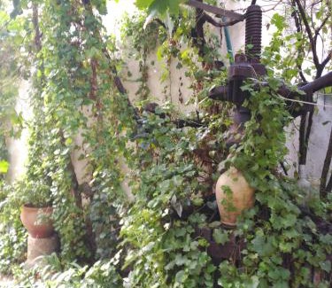 Villarrubia de Santiago House | El Sueño de Lucrecia