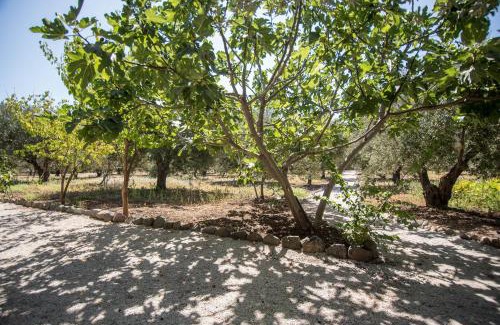 Mithimna Apartment | Elea Houses