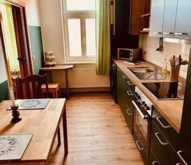 Wernigerode Apartment | Elegantes Ferienquartier in der Altstadt mit Terrasse, Kamin und E-Bikes für die perfekte Auszeit