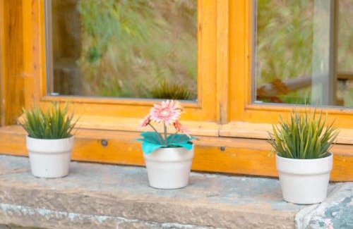 Ribes De Freser Apartment | Els Apartaments del bosc