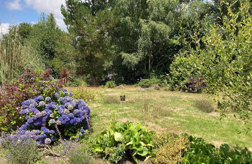 Muras Cottage | Enchanting 1-bedroom country cottage in the North of Spain!